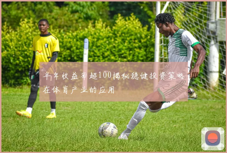 半年收益率超100揭秘稳健投资策略在体育产业的应用